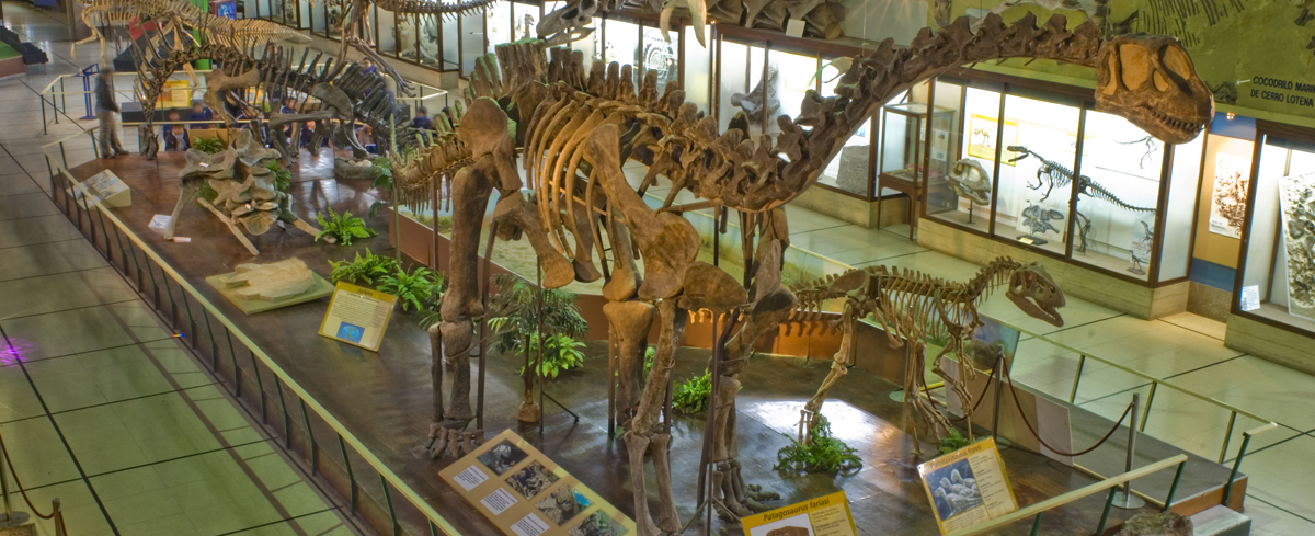 Museo de Ciencias Naturales Museum buenos aires argentina