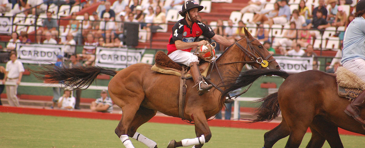 Pato - Deporte Nacional Argentino