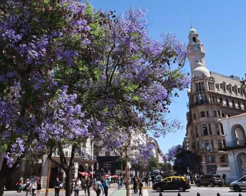 Qué hacer esta semana