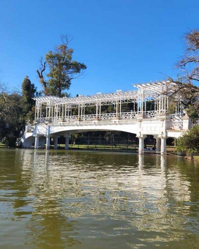 Visitas Guiadas del Ente de Turismo