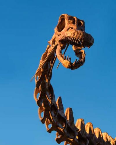 Patagotitan mayorum