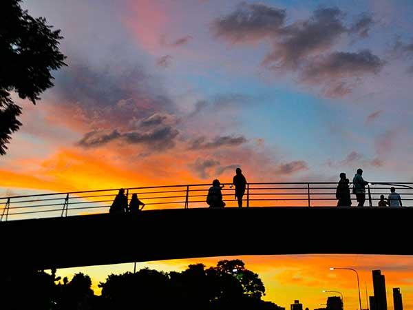 Visitas, paseos y experiencias